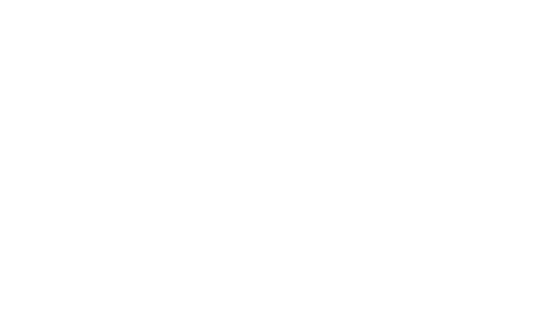 e-sims-logo-large-white