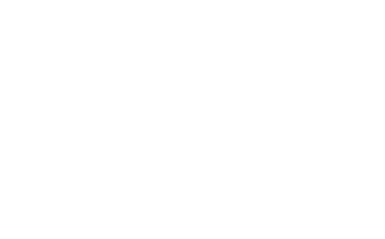 Budget eSims